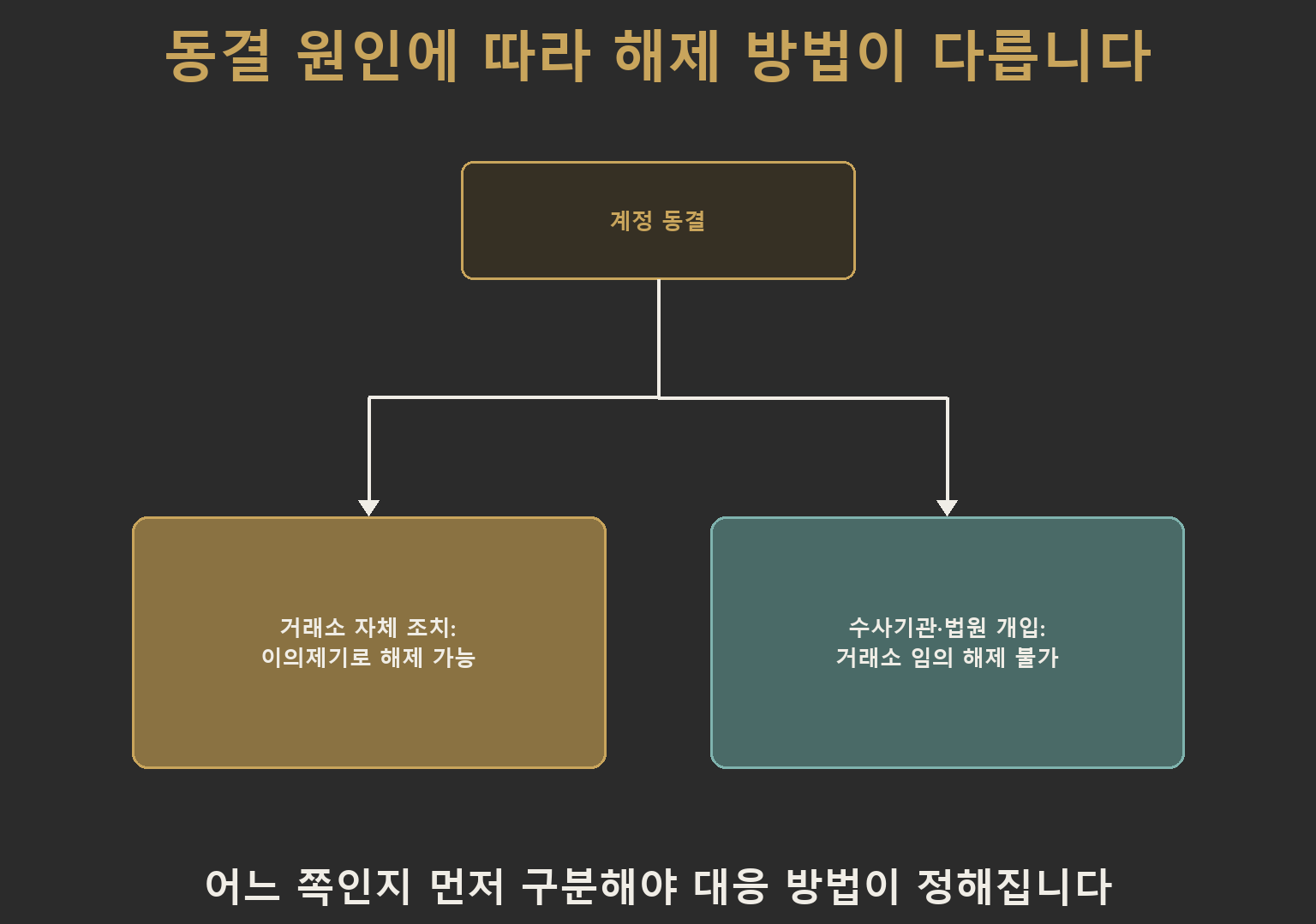 가상자산 압류·동결이 거래소 자체 조치인 경우 이의제기로 해제 가능하지만, 수사기관·법원이 개입된 경우 거래소가 임의로 해제할 수 없다는 두 갈래를 비교하는 다이어그램