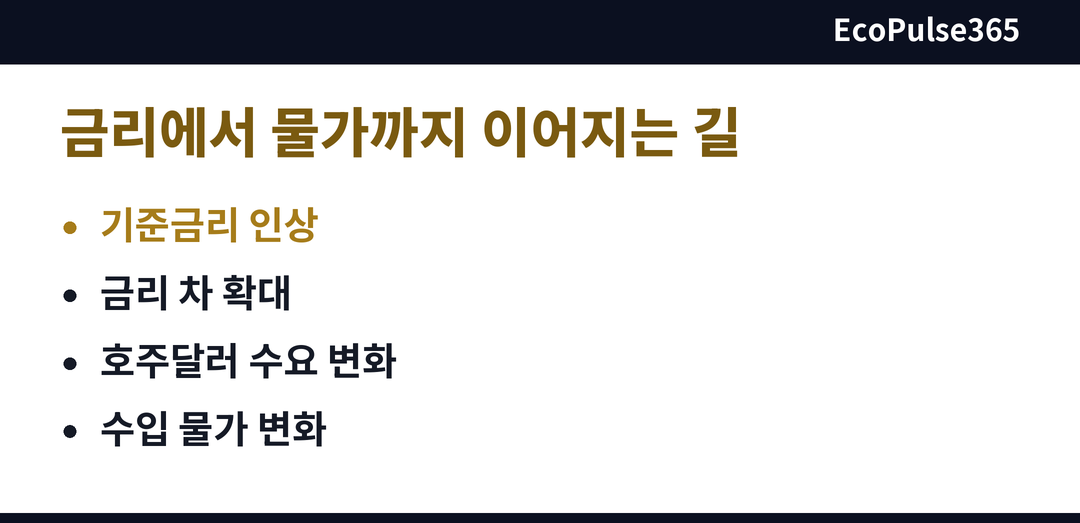 기준금리 인상이 호주달러 환율과 수입 물가, 소비로 이어지는 일반적인 경로를 위에서 아래로 다섯 단계로 그린 세로 단계 그림입니다. 환율 경로 소제목 옆에 놓습니다.